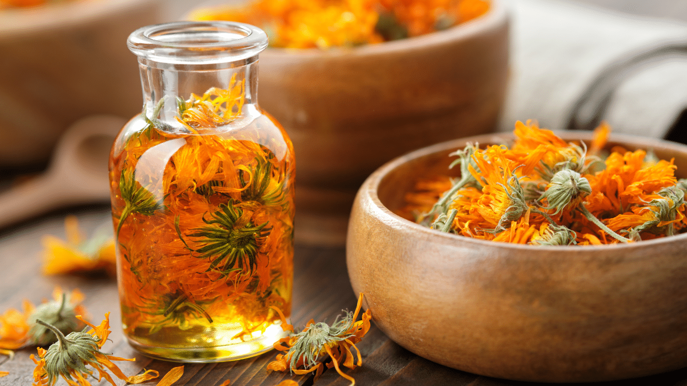 Skincare for Fall: 8 Flowers That Bloom in Autumn and Benefit Your Skin